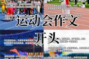 -热闹非凡的比赛，球队为荣誉争夺不懈的简单介绍