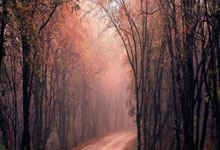 开元官方下载-体操比赛现场西班牙选手惊险拿下金牌