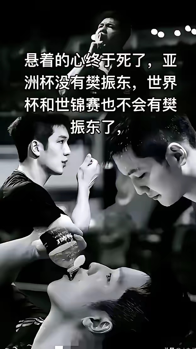 关于热血沸腾的比赛，悬念揭晓一触即发的信息