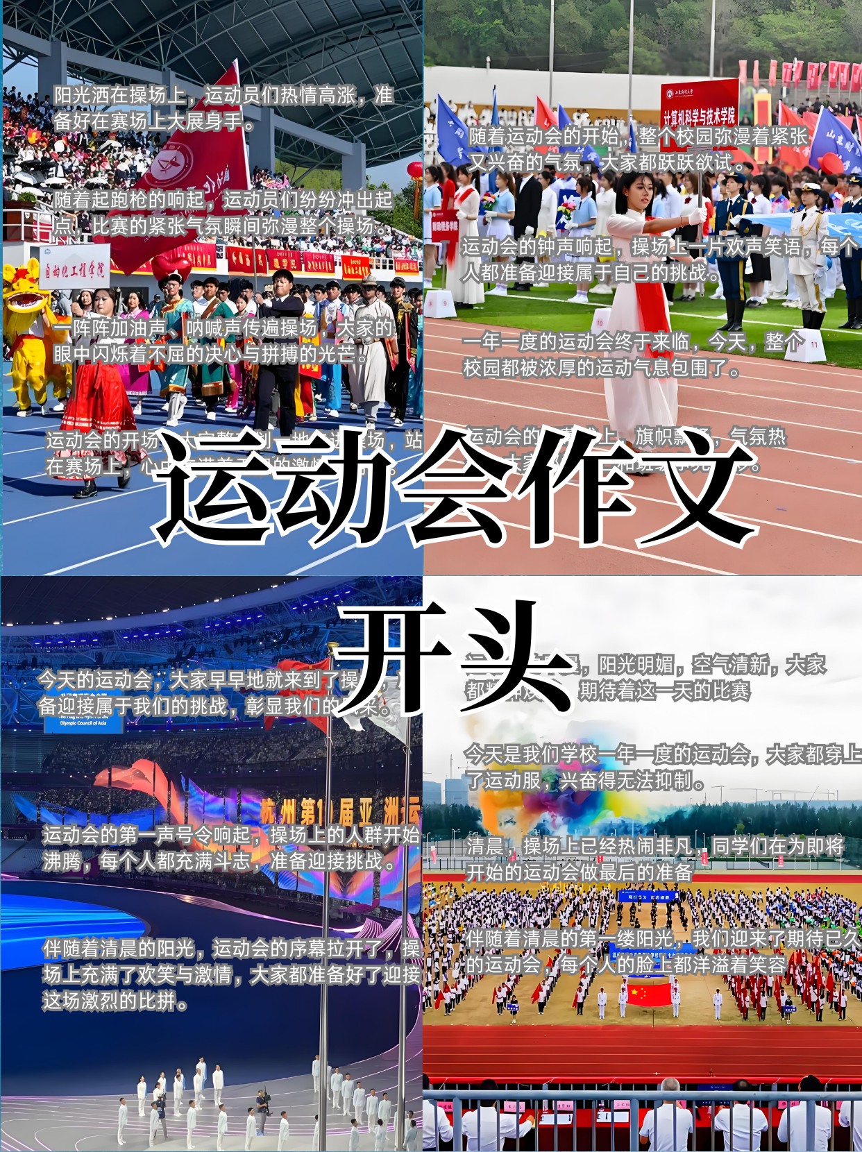 热闹非凡的比赛，球队为荣誉争夺不懈的简单介绍