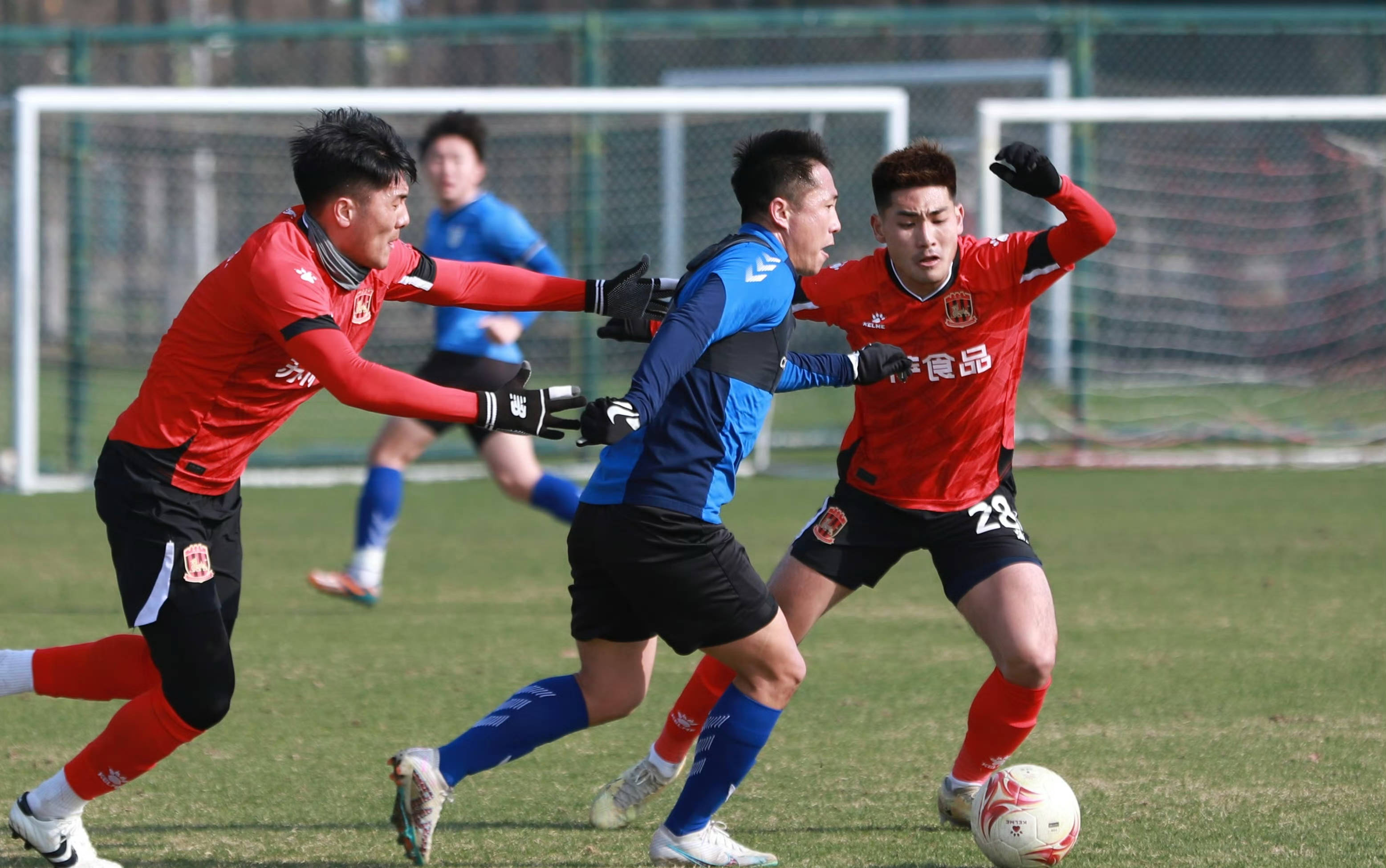 关于大连人队在比赛中取得不败战绩，晋级强的信息