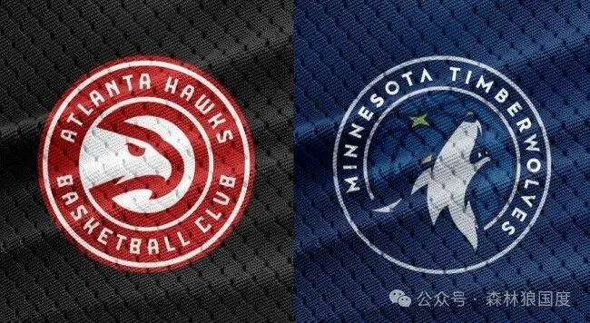 森林狼全队发威,击败老鹰 森林狼全队发威,击败老鹰